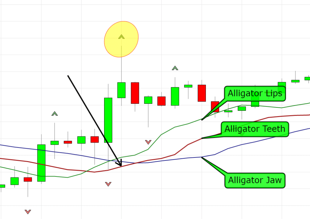 Fractal Trading Strategy With Blaster Techniques 2023