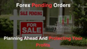 forex pending order